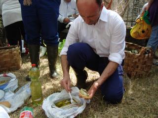 Immagine allegata alla scheda. Per averne una descrizione leggere i dettagli più in basso.